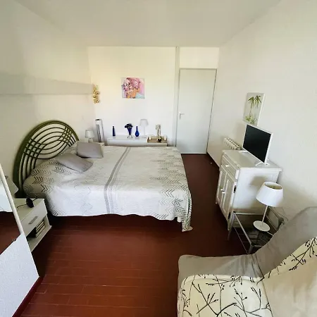 Charmant 2 Pieces En Centre Port Avec Vue Sur Le Port Et Proche Plage, Marches Et Loisirs - Fr-1-723-52 Appartement
